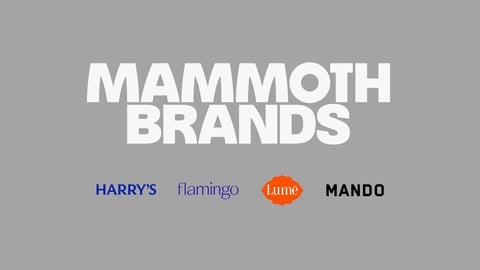 Mammoth Brands