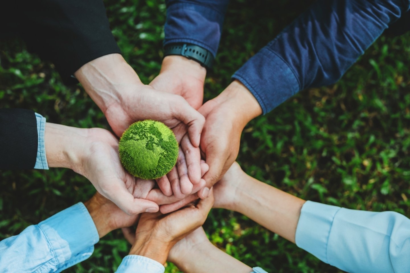 corporate sustainability